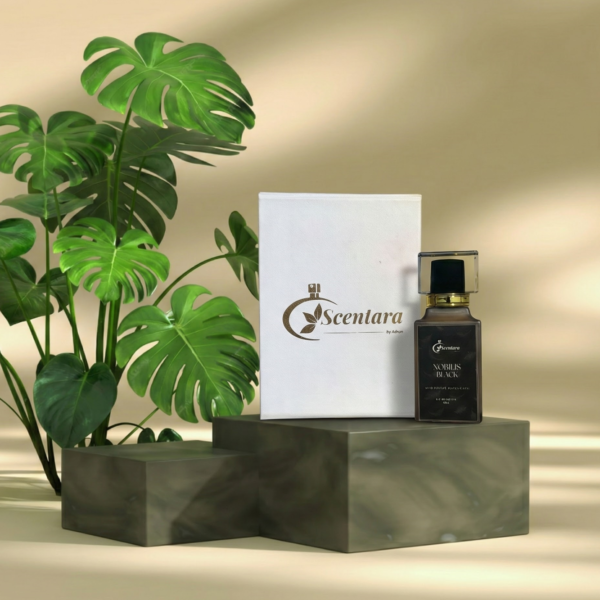 Nobilis Black Luxury Perfume - Arabic Oud & Spice Extravaganza